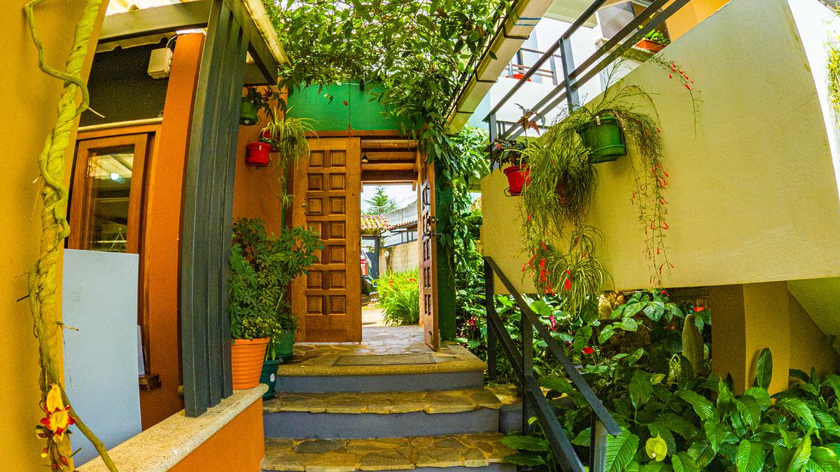 Acceso del hotel entre vegetación, puertas de madera y escalones de piedra