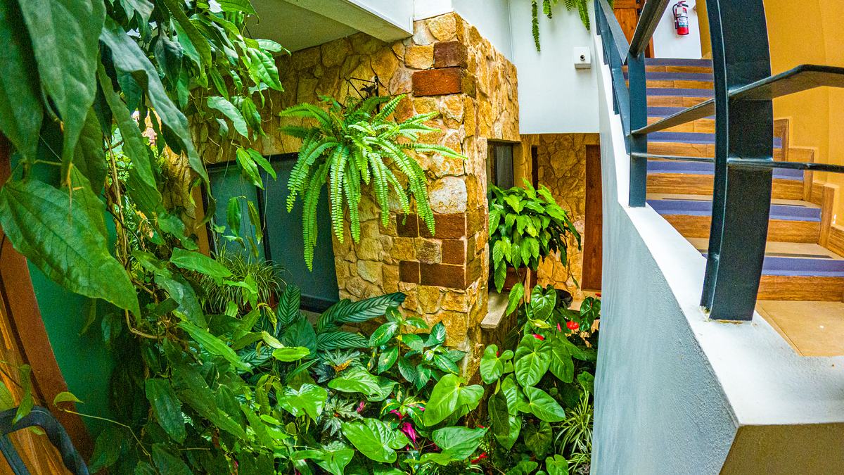 Escalera y jardín interior con muro de piedra