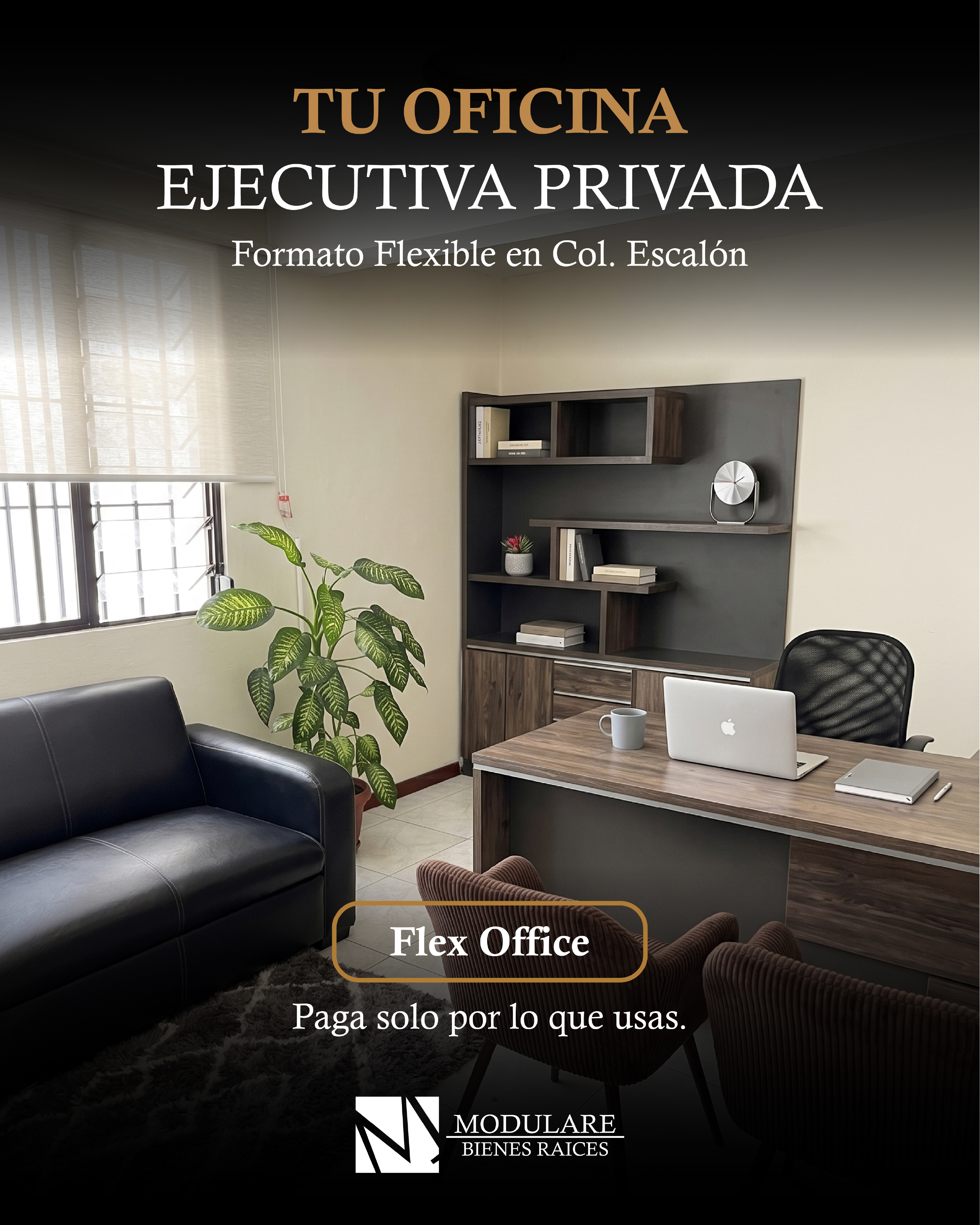Flex Office, Escalón, proyecto de Modulare Bienes Raíces